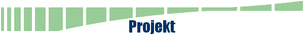  Projekt 